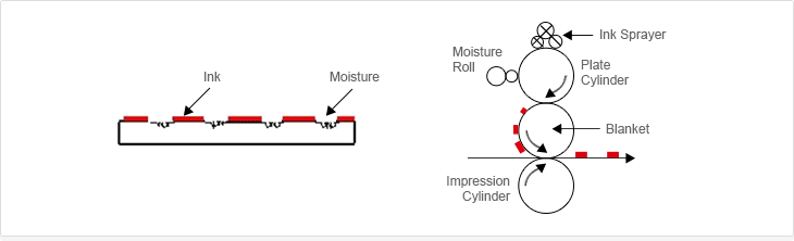 The image on the left shows the cross section of the blanket attached with ink and humidity. The image on the right is a printing method that consists of Off-Set printing’s ink spray machine, humidity roll, plate cylinder, blanket, and impression cylinder.